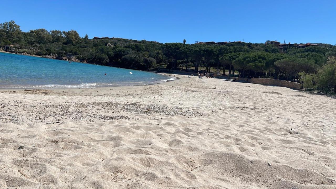 Porto Coda Cavallo Beach House A 300 Mt Dal Mare, Con Terrazza Panoramica 산테오도로 외부 사진